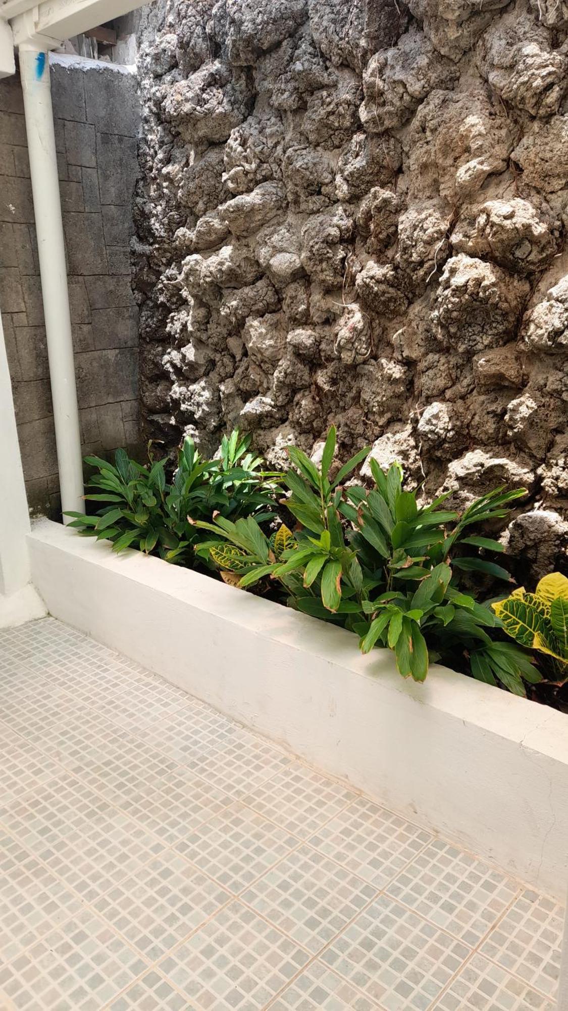 Managua Inn חדר תמונה